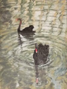 Swans, Oil on Canvas, 40 x 31 cm