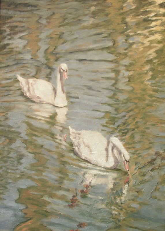 White Swans, Oil on Canvas, 40 x 30 cm