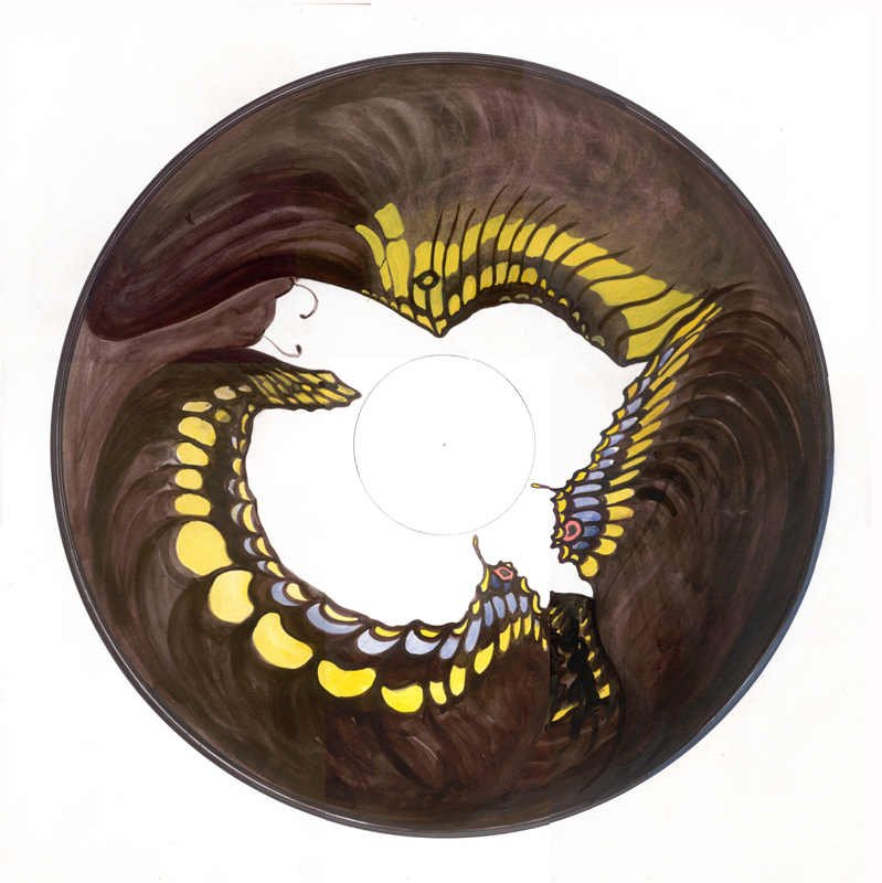 Butterfly Anamorphois, Watercolour, 50 x 50 cm