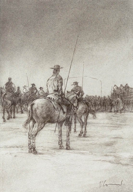 Golegã Fair II, Chalk, 45 x 30 cm